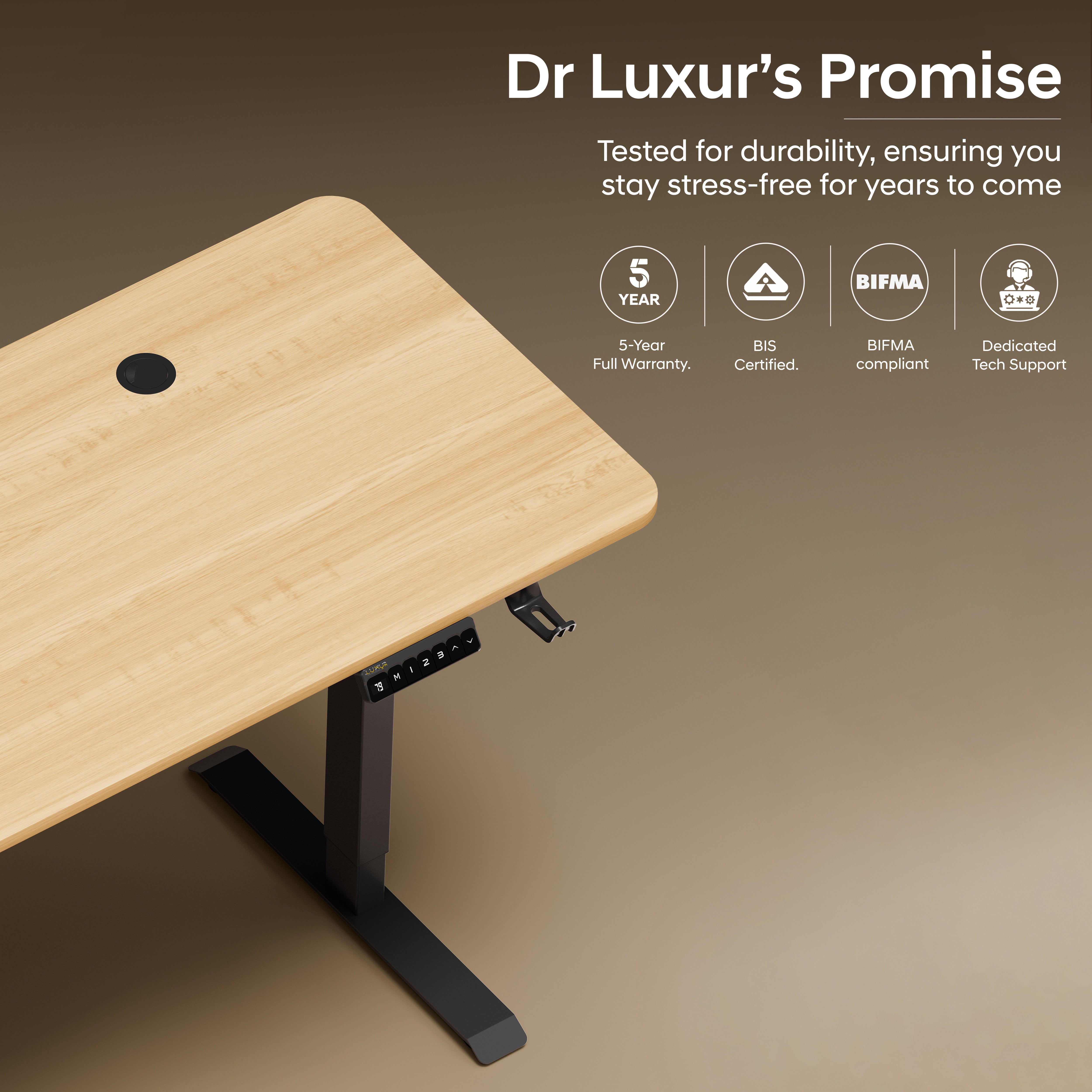 DrLuxur Stallion Height Adjustable Desk With Three Memory Preset , Adjustable Height , 70-114 cm (Satin Maple)