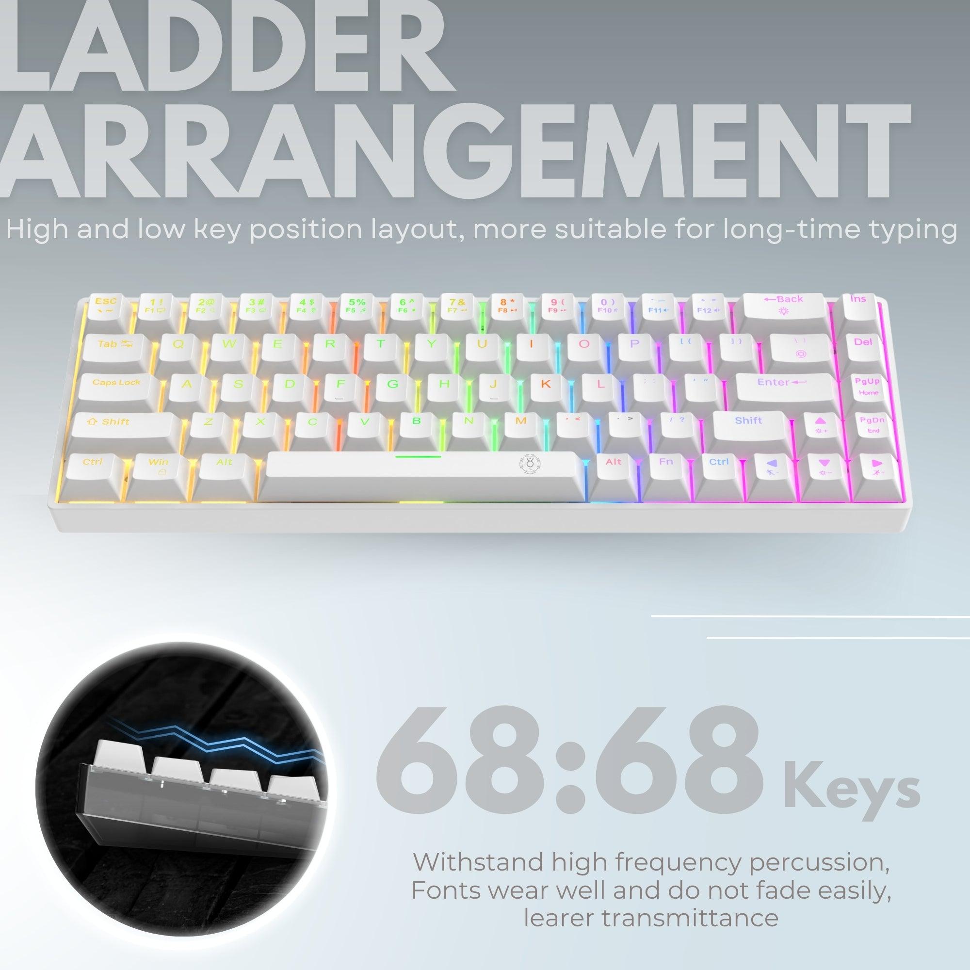 Dr Luxur® Mechanical Keyboard with 68 Keys, w/ OUTEMU Red/Blue Switches, Hot Swappable OUTEMU Switches